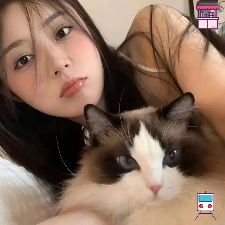 何女士